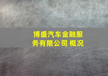 博盛汽车金融服务有限公司 概况